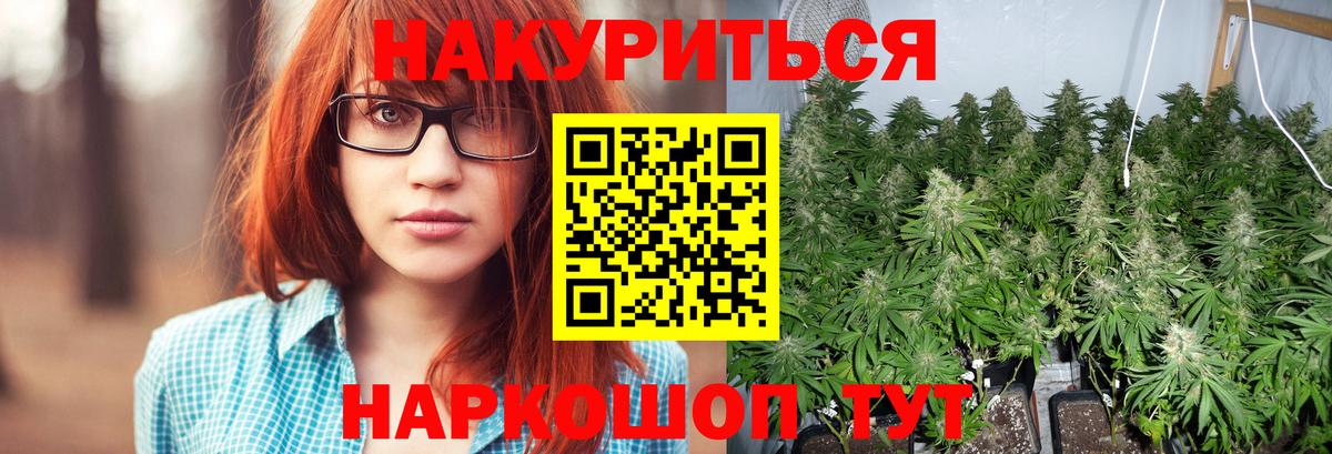 Подольск  Конопля White Widow  Бошки Шишки сатива  Вход с VPN 